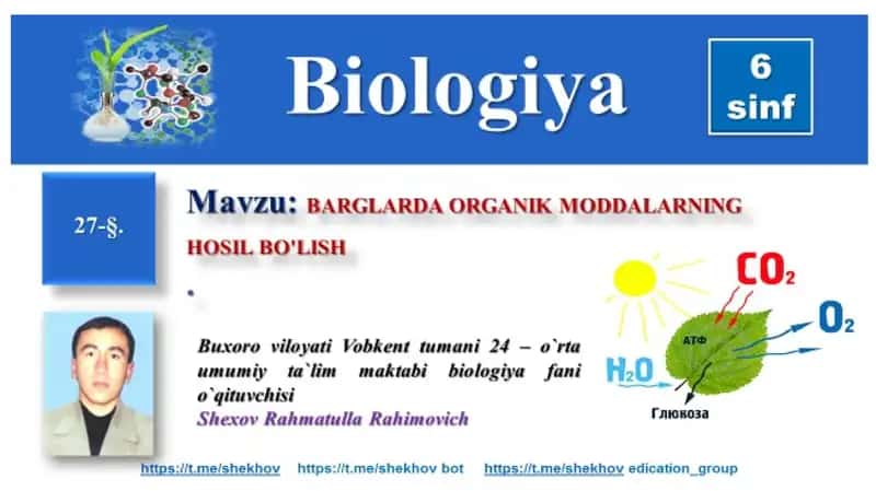 Organik moddalar hosil bo'lishi 1