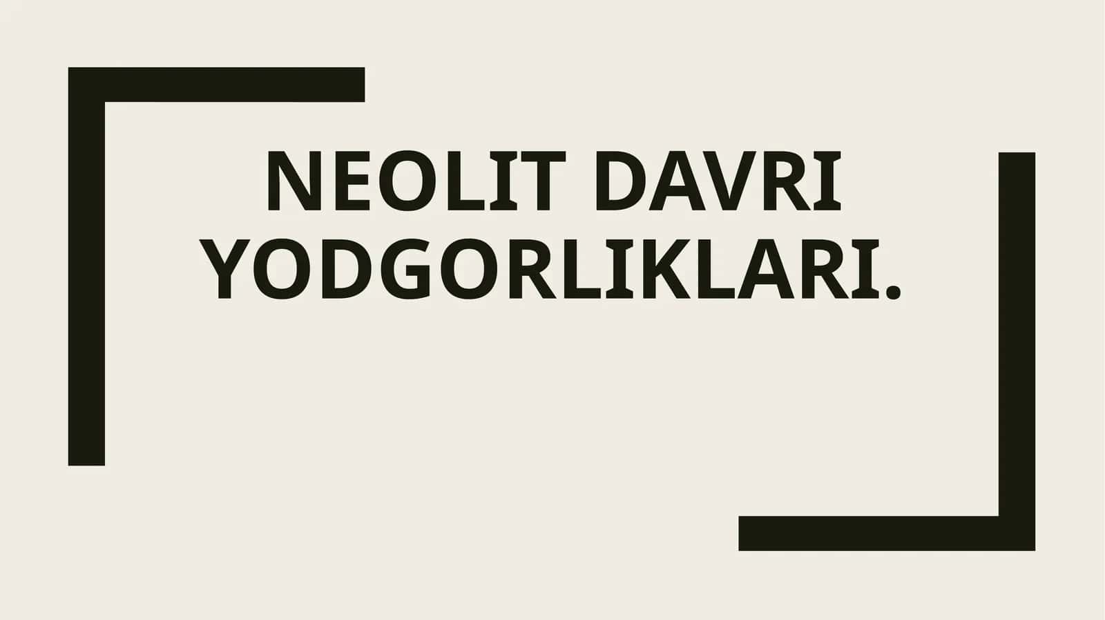 Neolit davriyodgorliklari 1