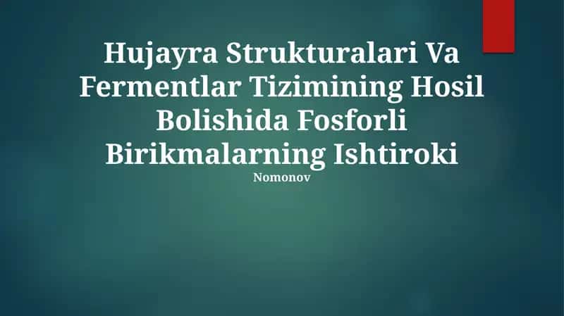 Hujayra Strukturalari Va Fermentlar Tizimi 1
