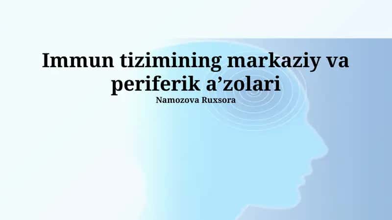 Immun tizimining markaziy va periferik a’zolari 1