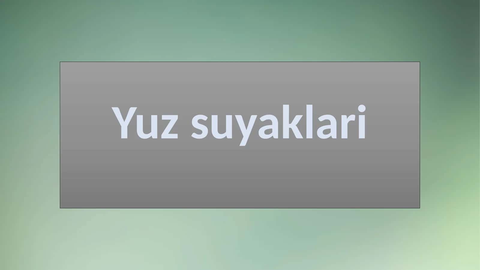 Yuzsuyaklari 1