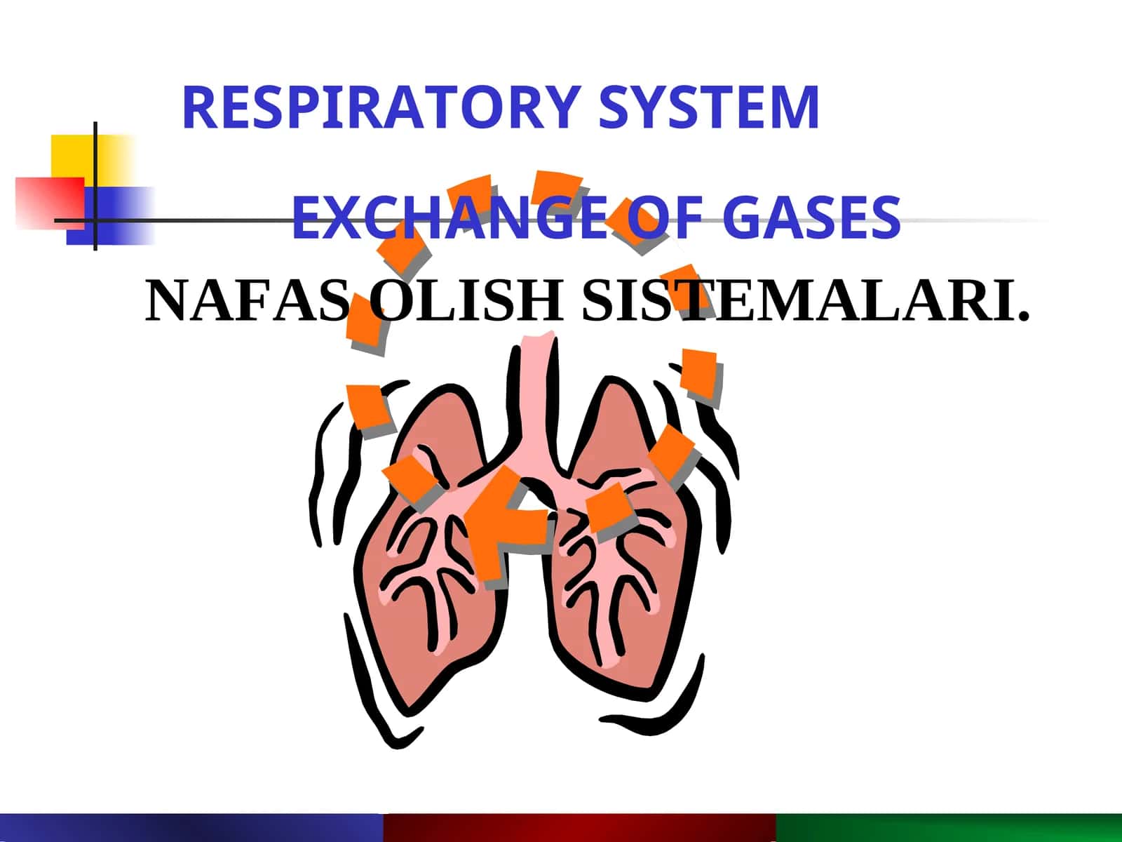NAFAS OLISH SISTEMALARI 1
