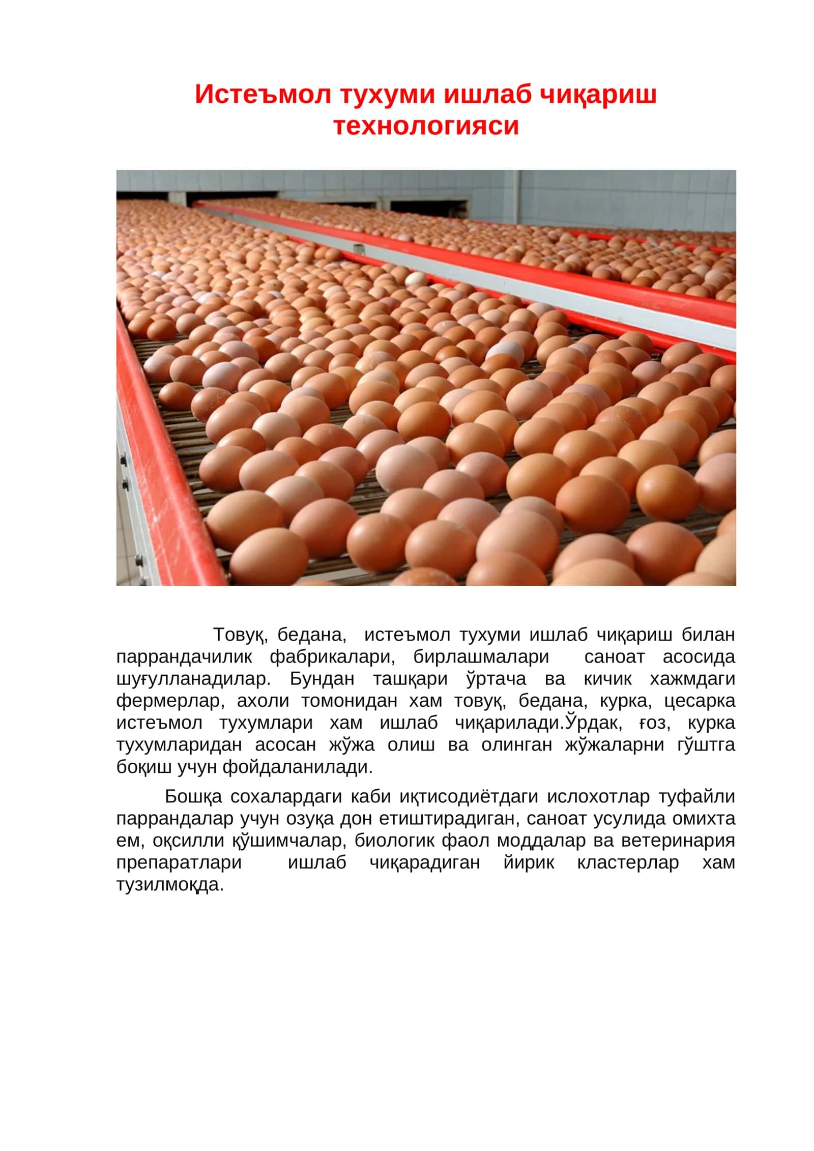Истеъмол тухуми ишлаб чиқариш технологияси 1