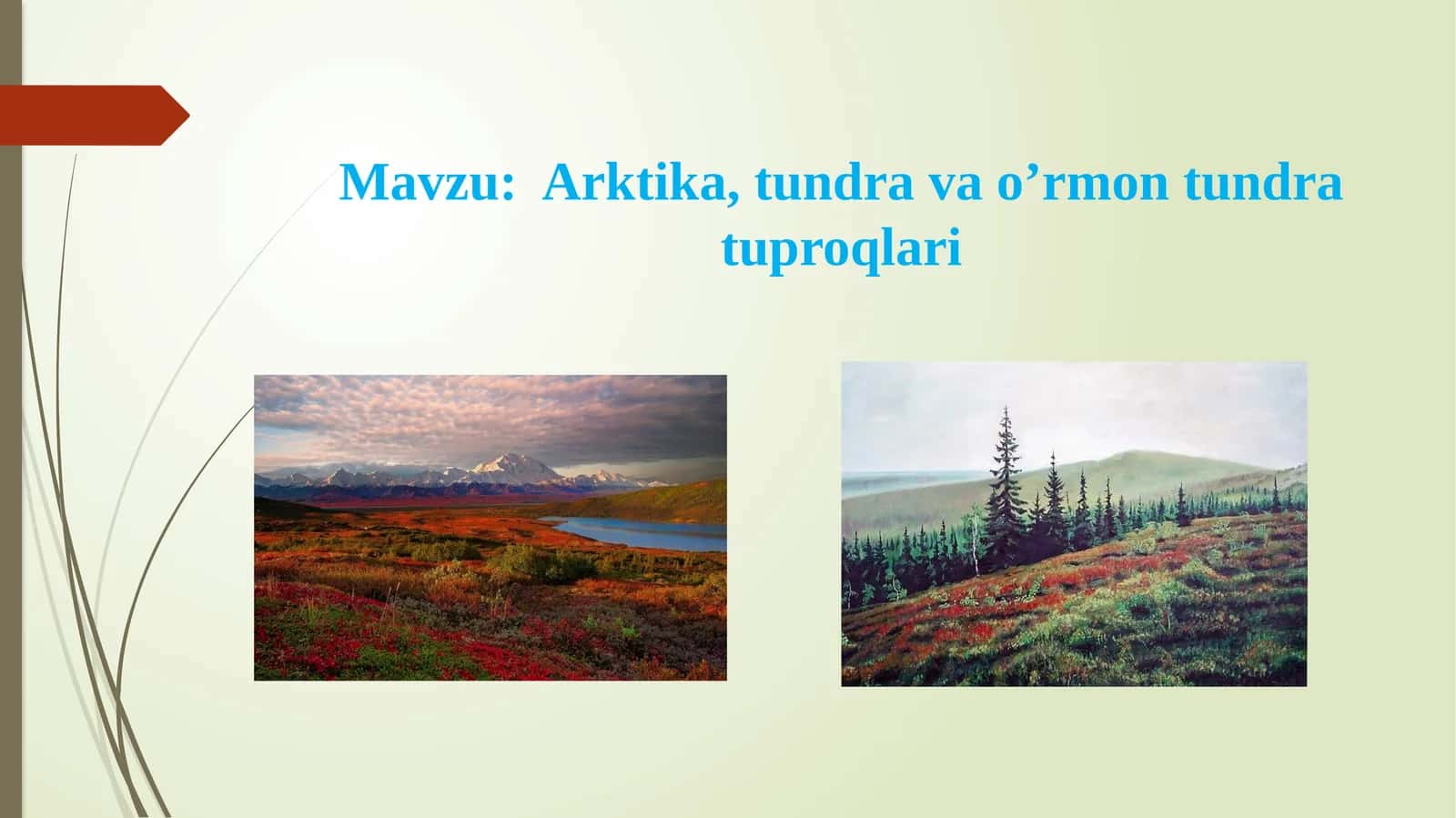 Arktika, tundra va o’rmon tundra tuproqlari 1