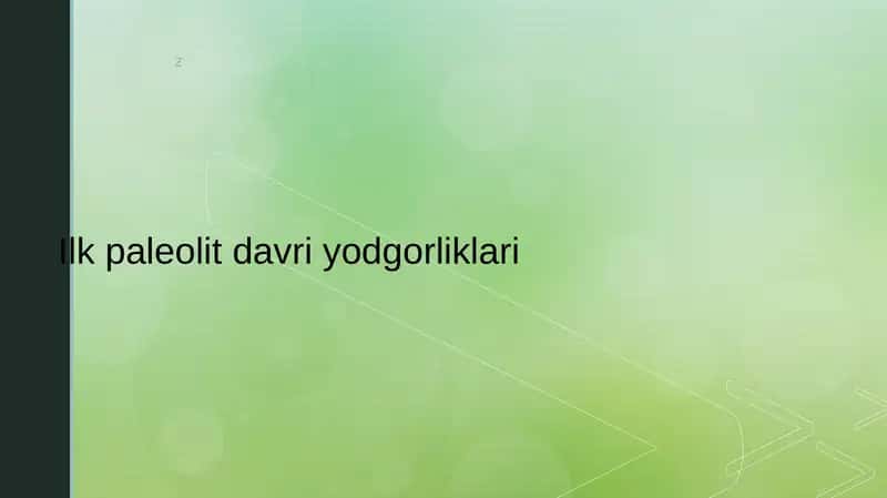 Ilk paleolit davri yodgorliklari 1