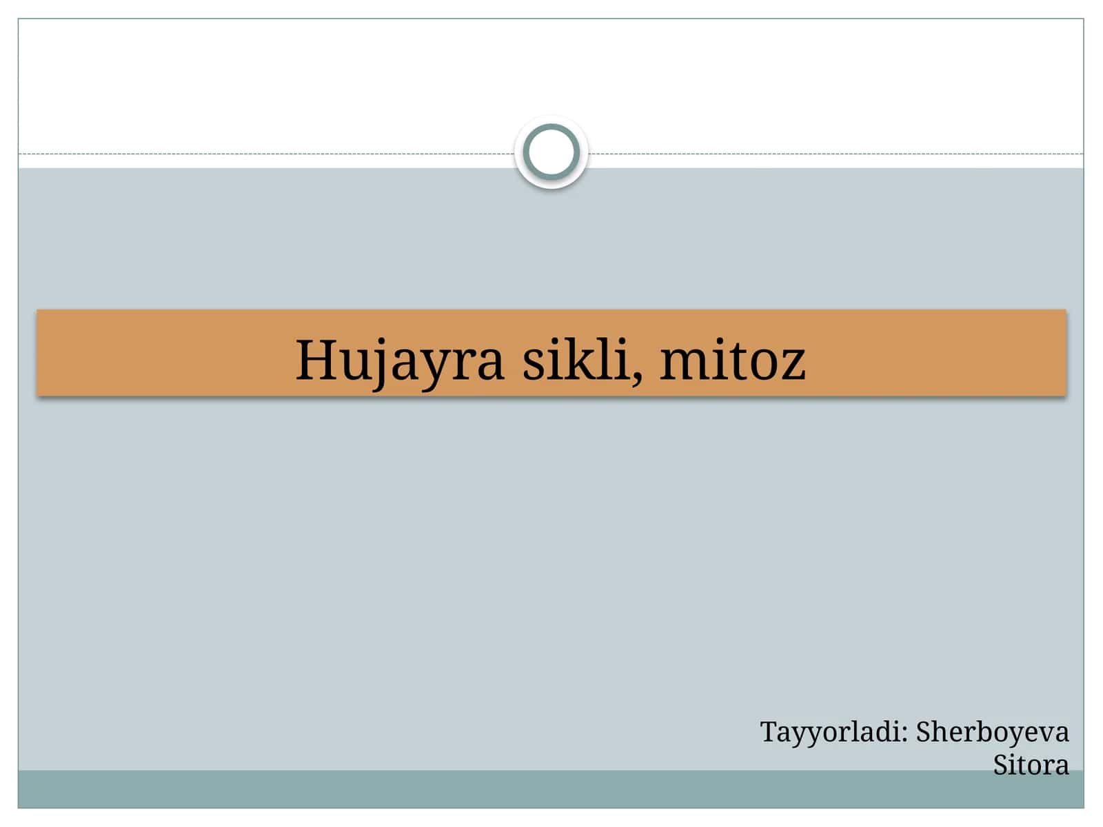Hujayrasikli, mitoz 1