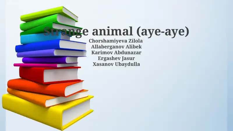 Strange animal (aye-aye) 1
