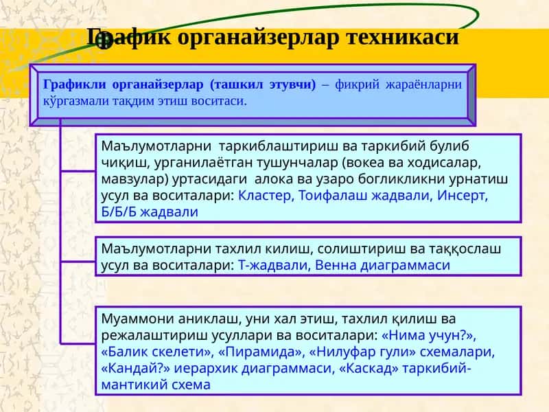 Графикл иорганайзерлар (ташкил этувчи) 1