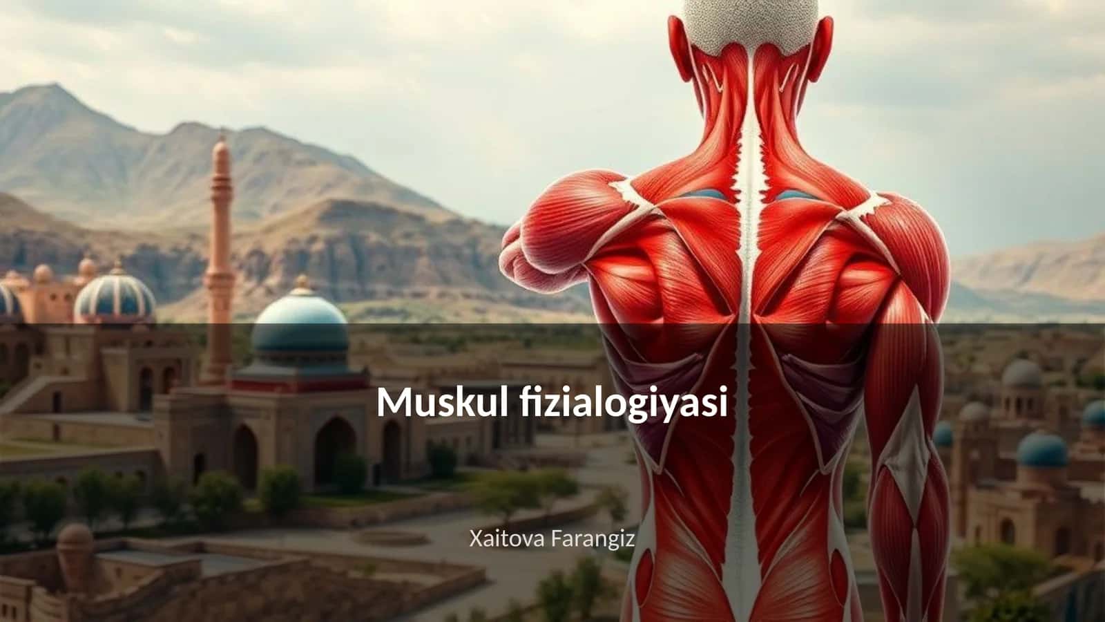 Muskul fizialogiyasi 1