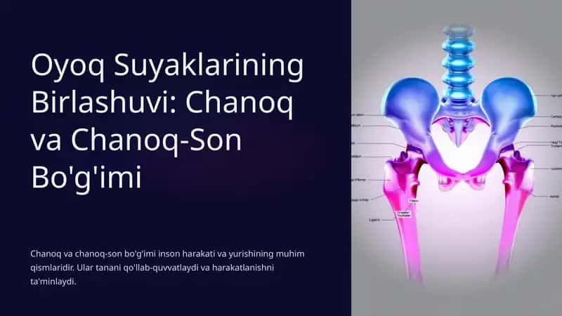 Chanoq va Chanoq-Son Bo'g'imi 1