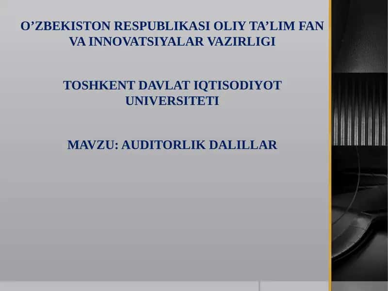 Auditorlik Dalillar 1