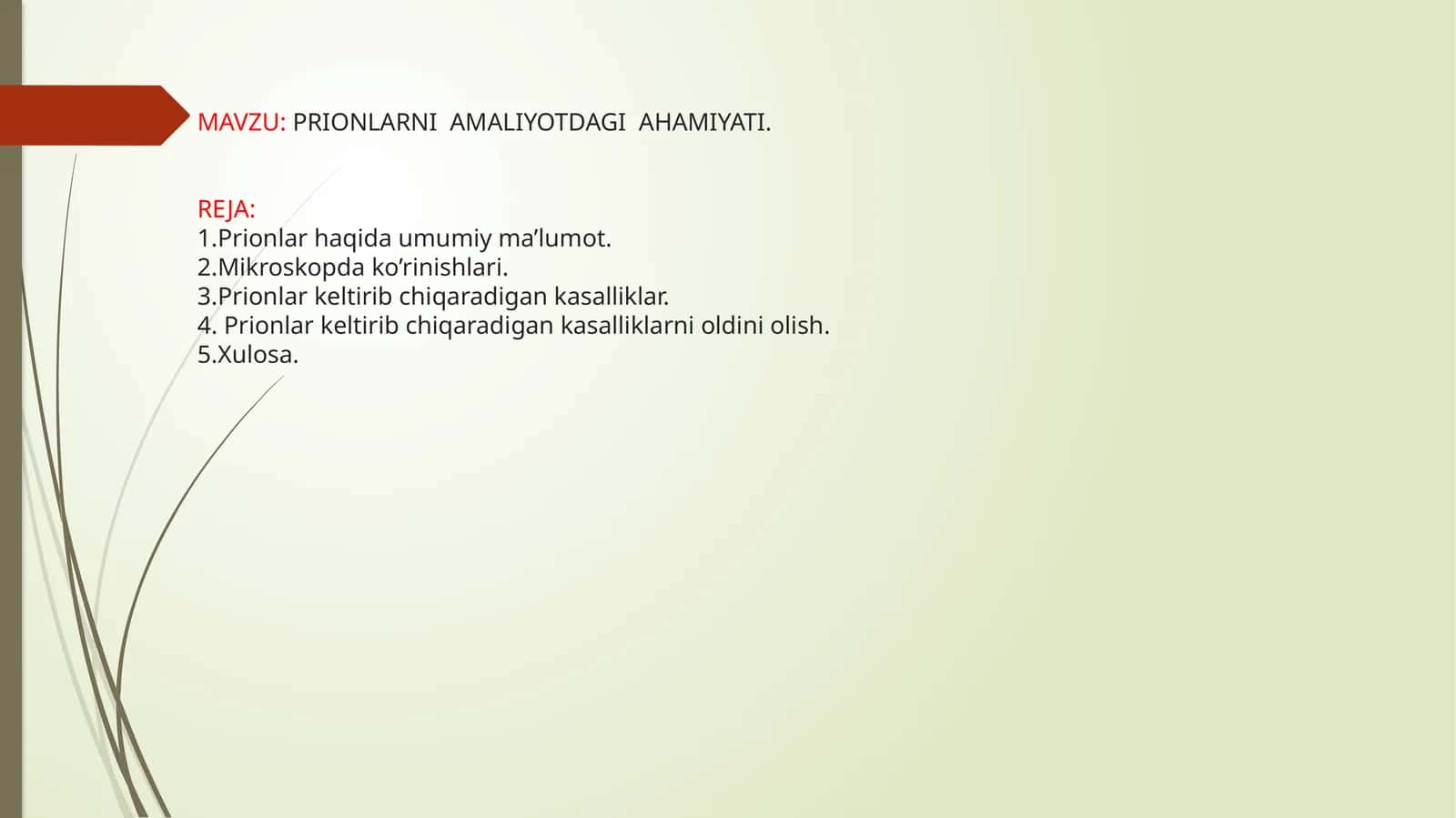 PRIONLARNI AMALIYOTDAGI AHAMIYATI 1