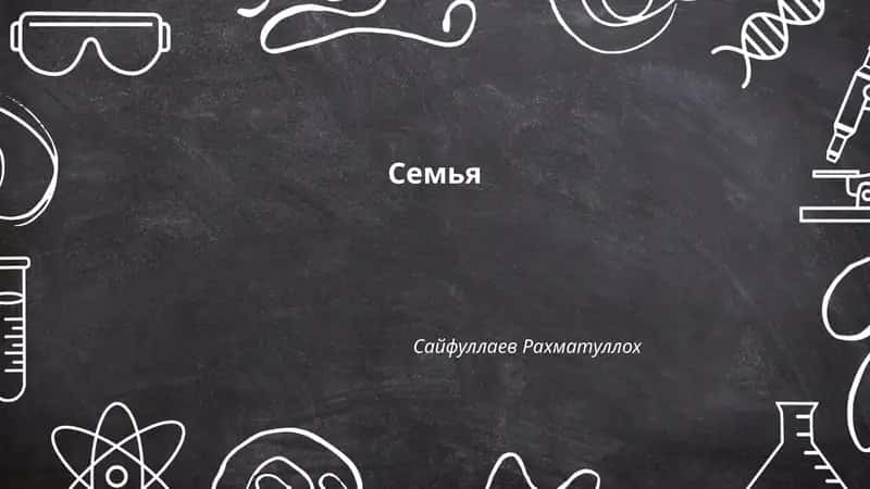 Семья 1