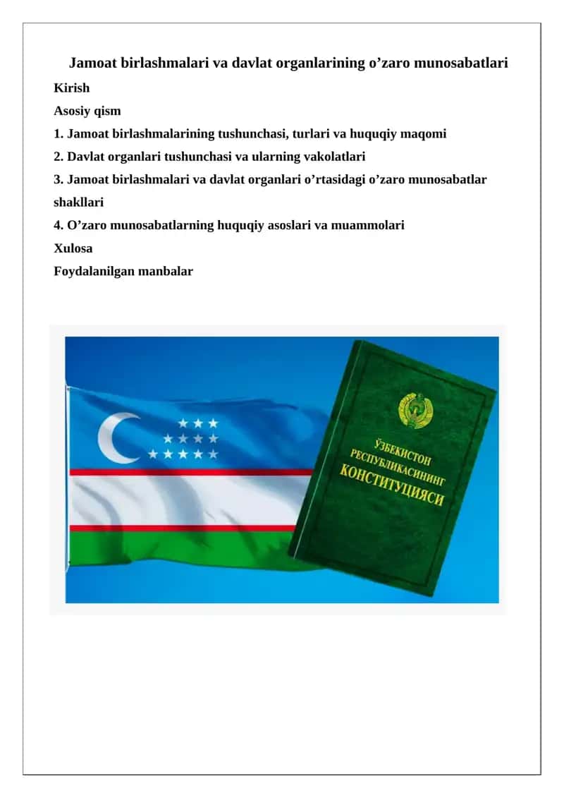 Jamoat birlashmalari va davlat organlarining o'zaro munosabatlari 1