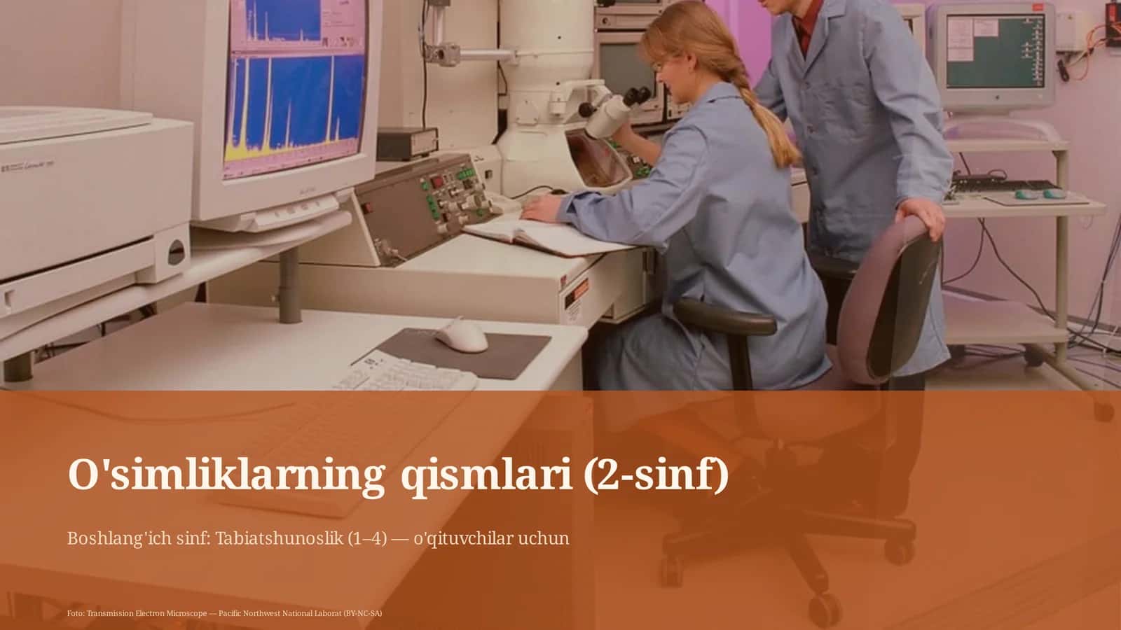 O'simliklarning qismlari (2-sinf) 1