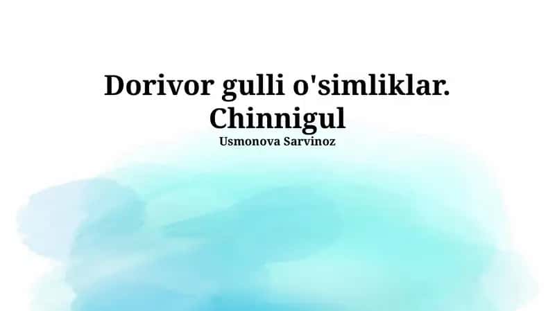 Chinnigullar: Botanika, Kimyo va Xalq Tabobati 1