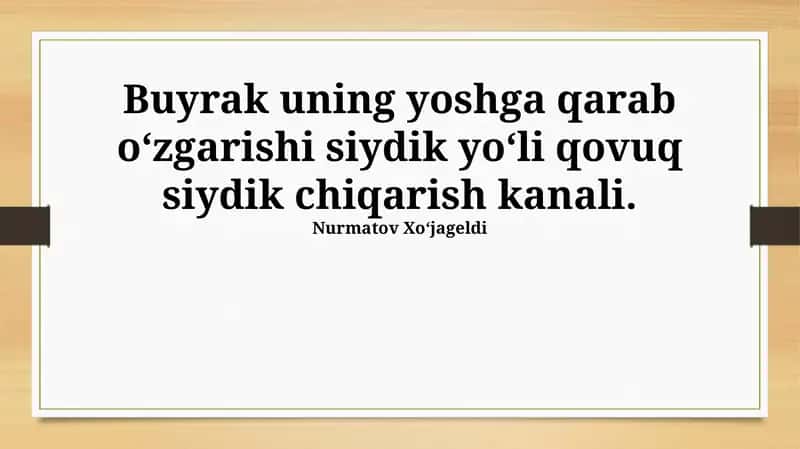 Siydik pufagi 1