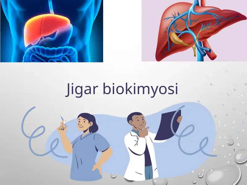 Jigar biokimyosi 1