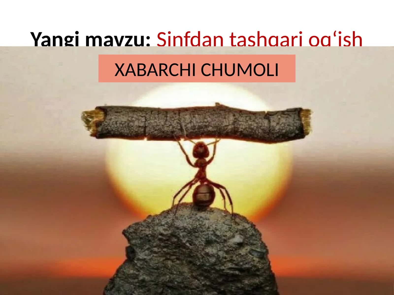 Yangimavzu: Sinfdantashqarioq‘ish 1