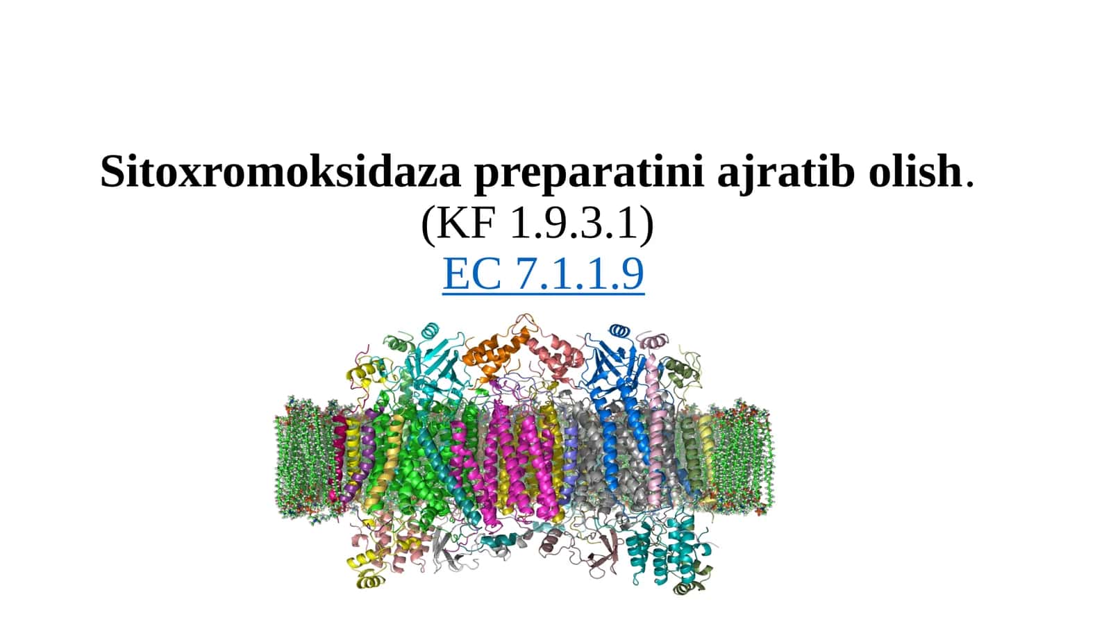 Sitoxromoksidaza preparatini ajratib olish.(KF 1.9.3.1)EC 7.1.1.9 1