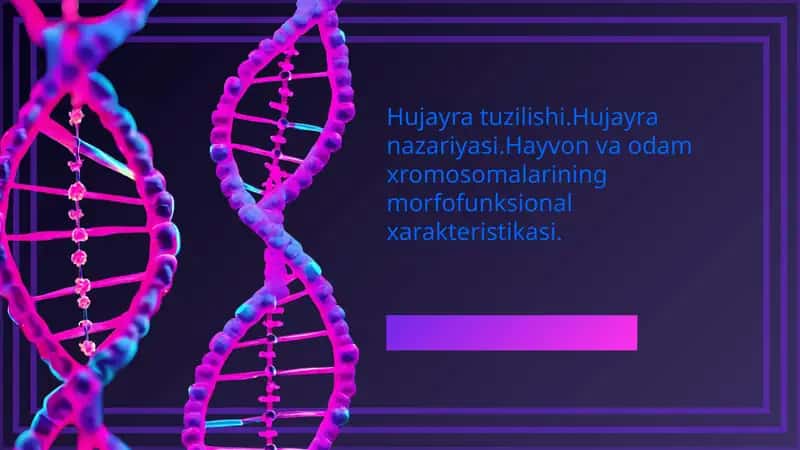 Hujayra tuzilishi. Hujayra nazariyasi. Hayvon va odam xromosomalarining morfofunksional xarakteristikasi. 1