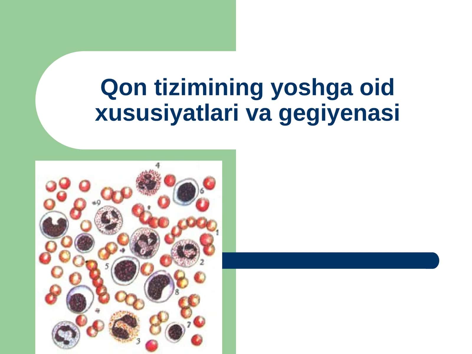 Qon tizimining yoshga oid xususiyatlari va gegiyenasi 1