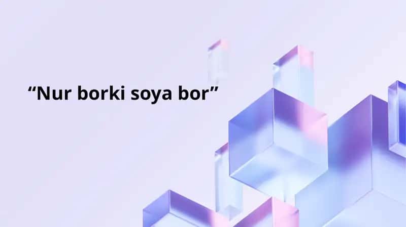 Nur borki soya bor 1