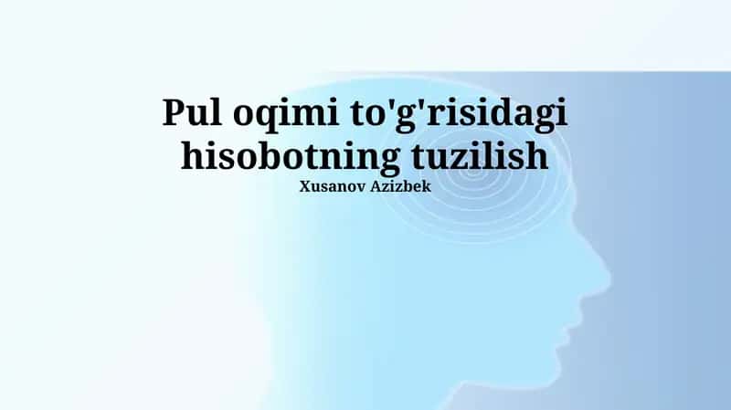 Pul oqimi to'g'risidagi hisob 1