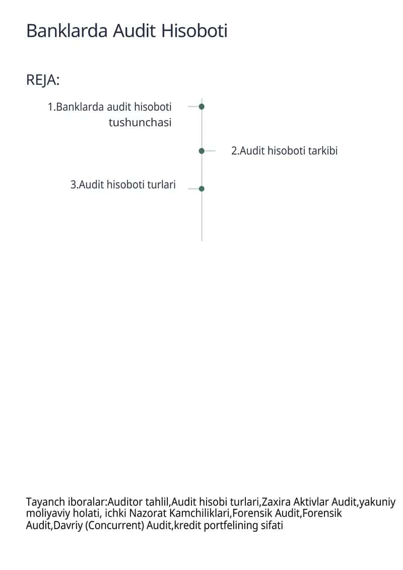 Banklarda Audit Hisoboti 1