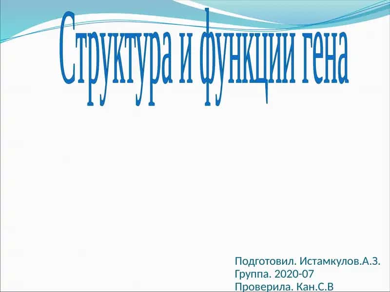 Структура и функции гена 1