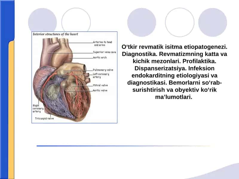 Revmatizmning kattavakichik mezonlari 1