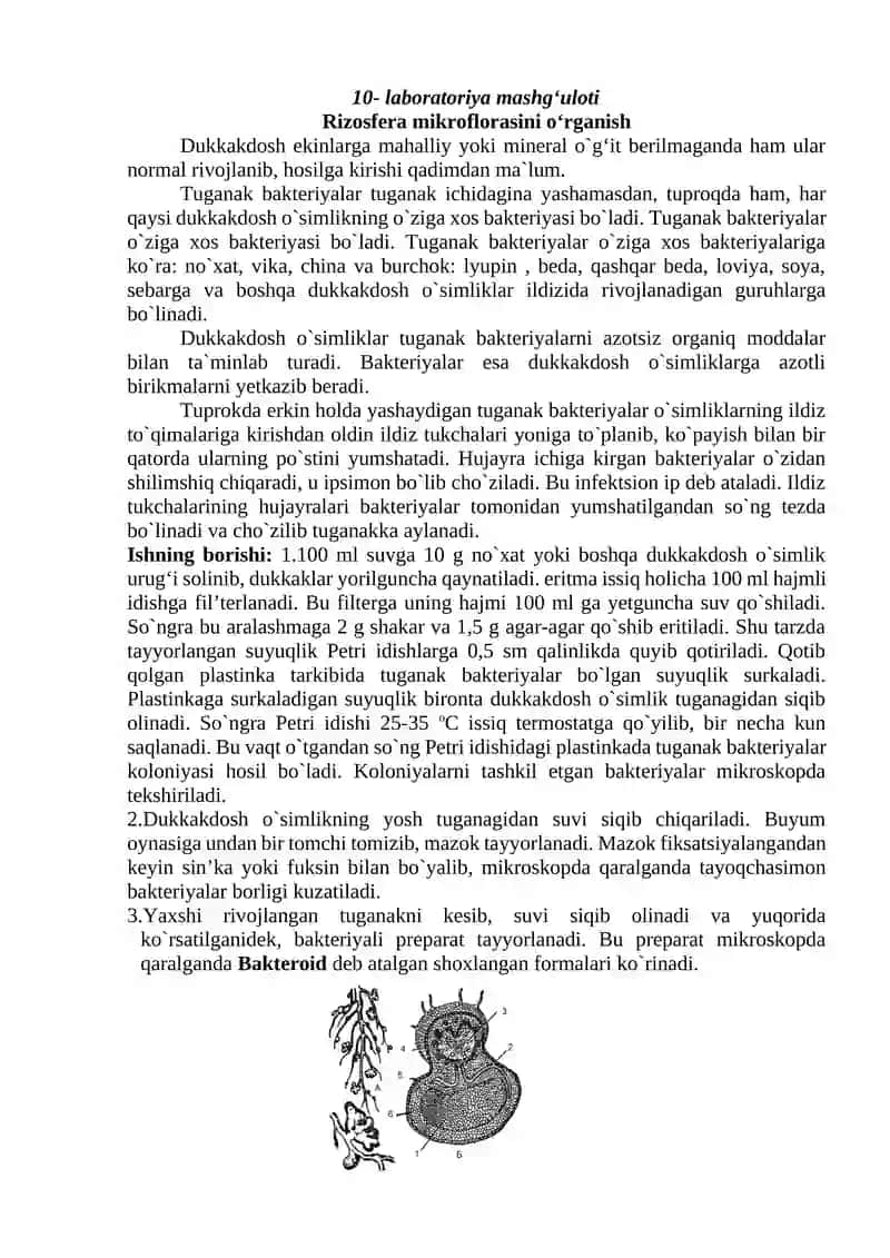 Laboratoriya mashg'uloti - Rizosfera mikroflorasini oʻrganish