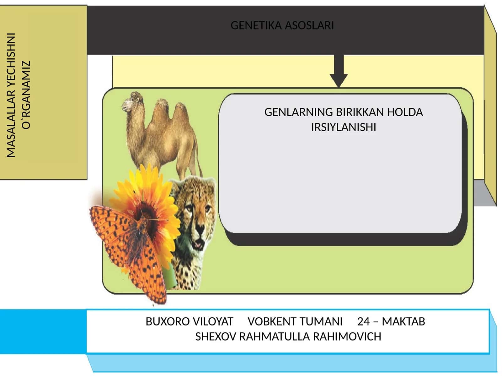 GENETIKA ASOSLARI 1