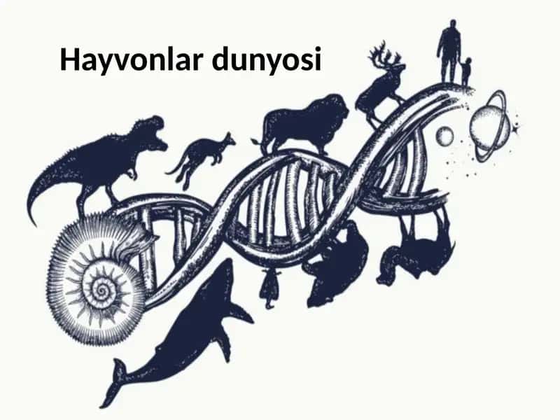Hayvonlar dunyosi 1