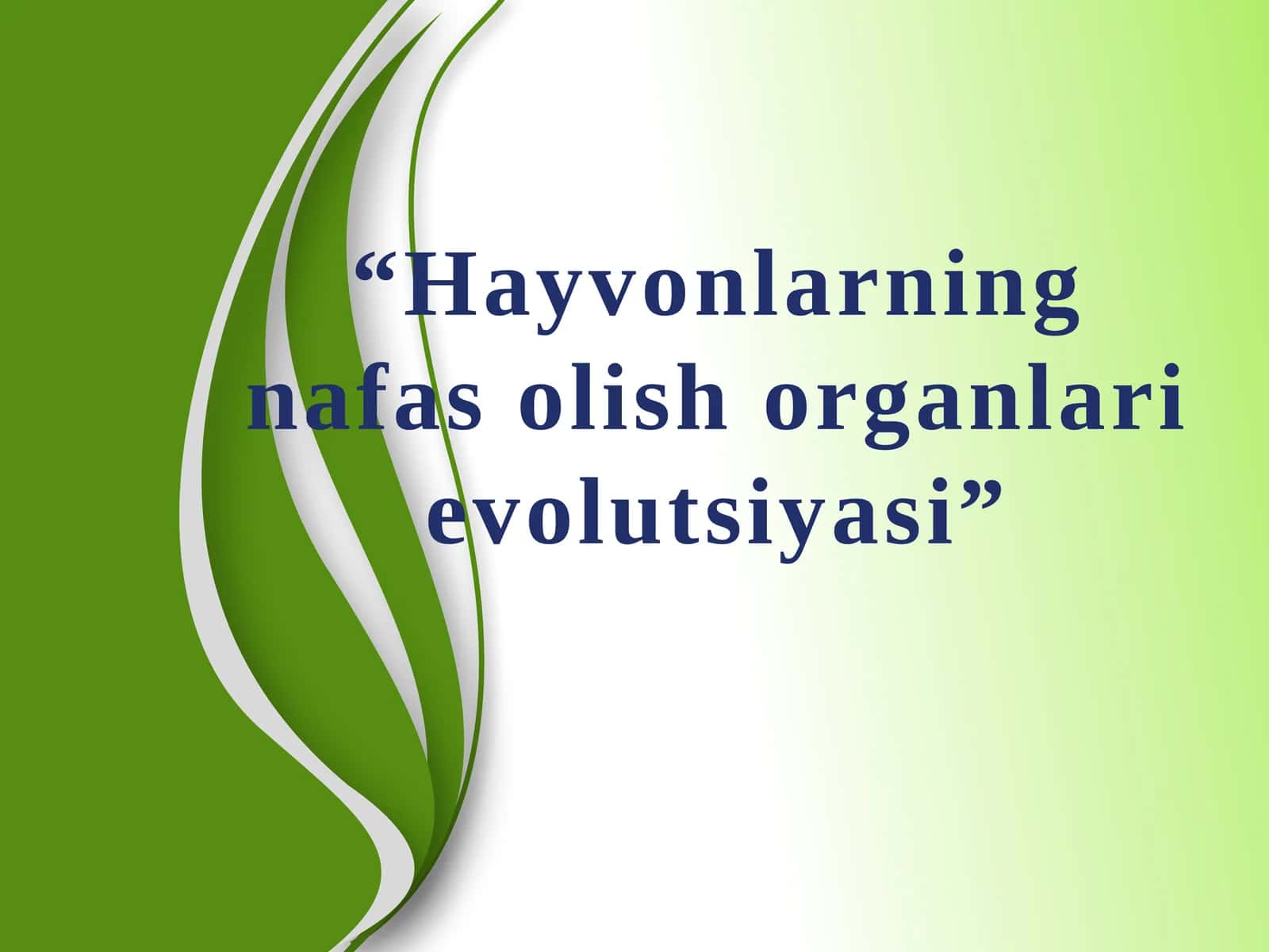 Hayvonlarning nafas olish organlari evolutsiyasi 1