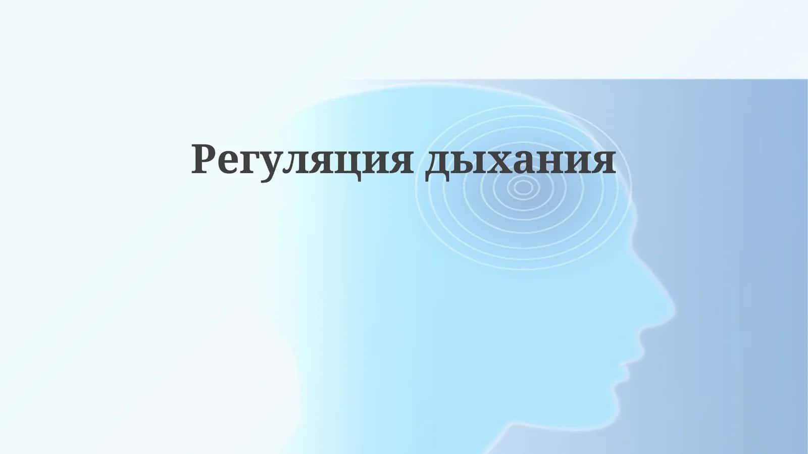 Регуляция дыхания 1