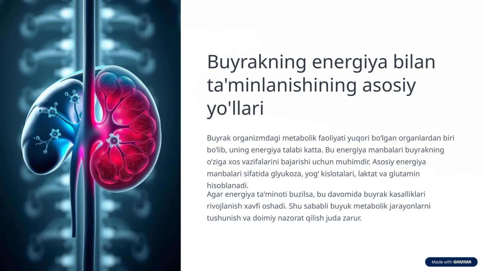 Buyrakning energiya bilan ta'minlanishining asosiy yo'llari 1