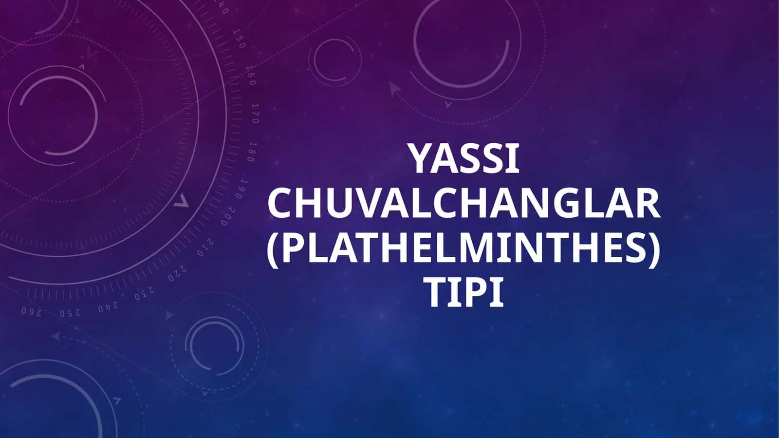 Yassi chuvalchanglar (Plathelminthes) tipi 1