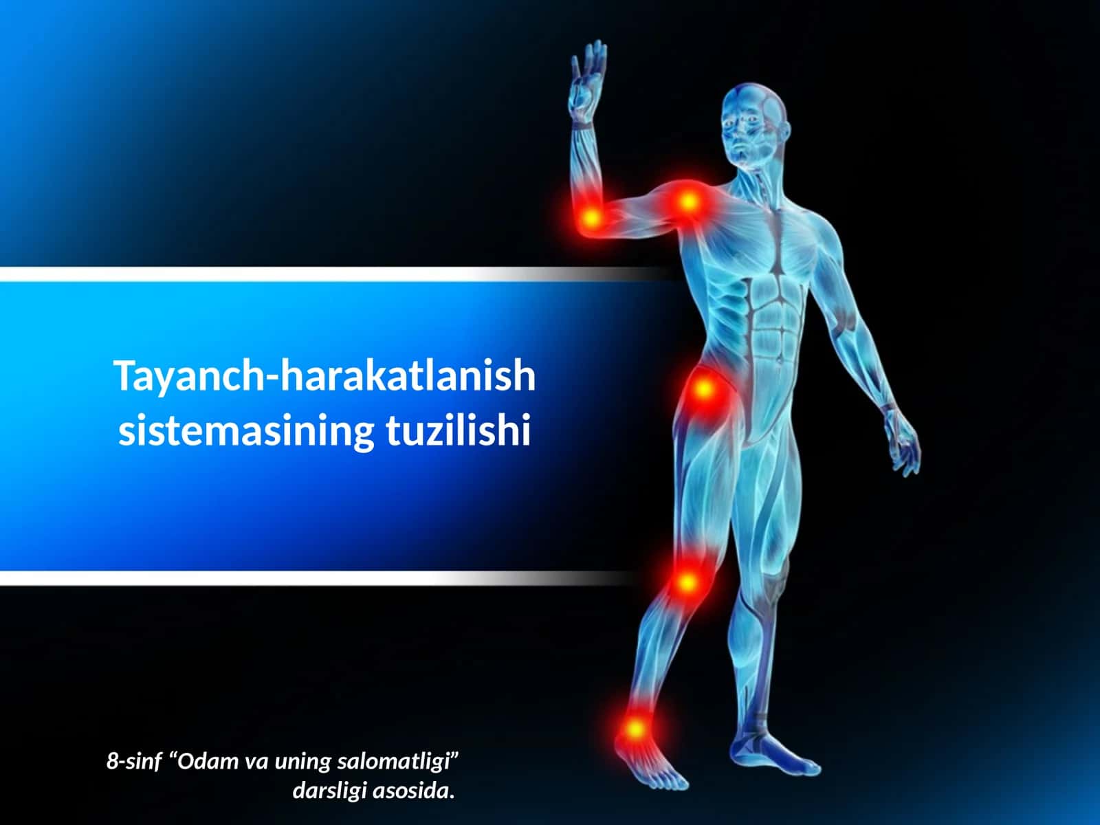Tayanch-harakatlanish sistemasining tuzilishi 1