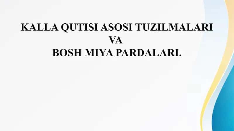 KALLA QUTISI ASOSI TUZILMALARI VA  BOSH MIYA PARDALARI.  Бош мия пардалари 1