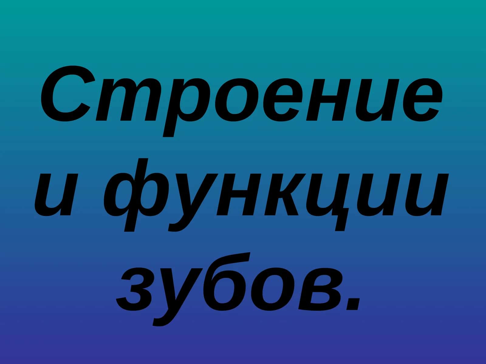 Строение и функции зубов 1