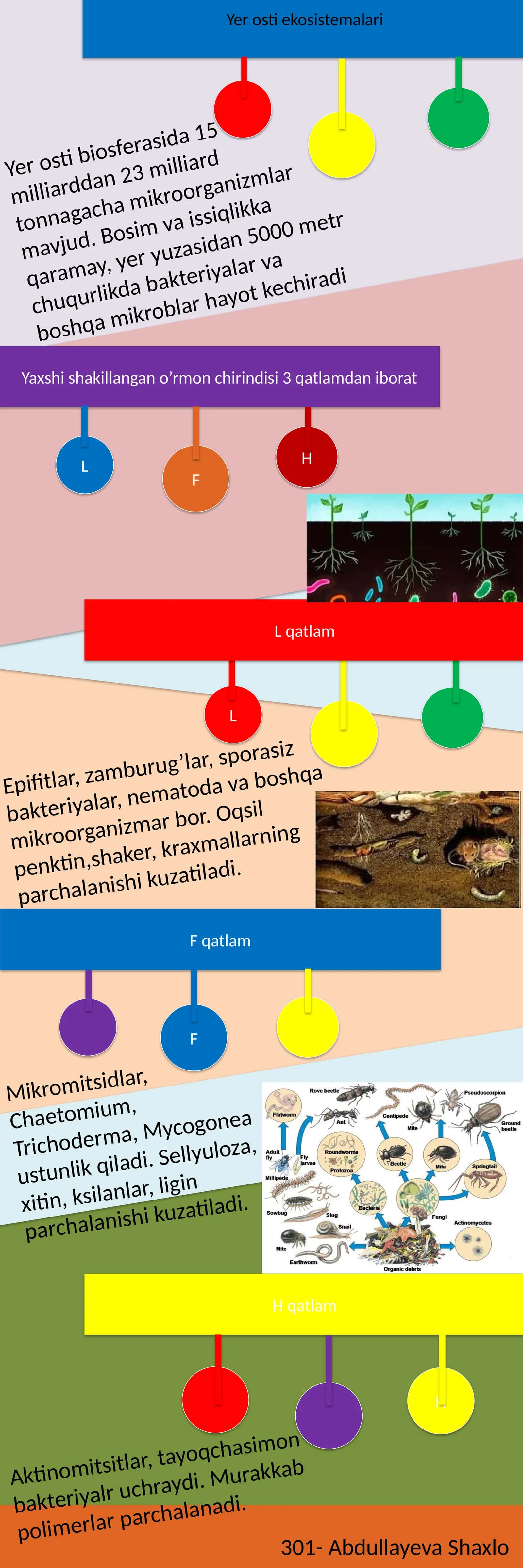 Yer osti ekosistemalari 1