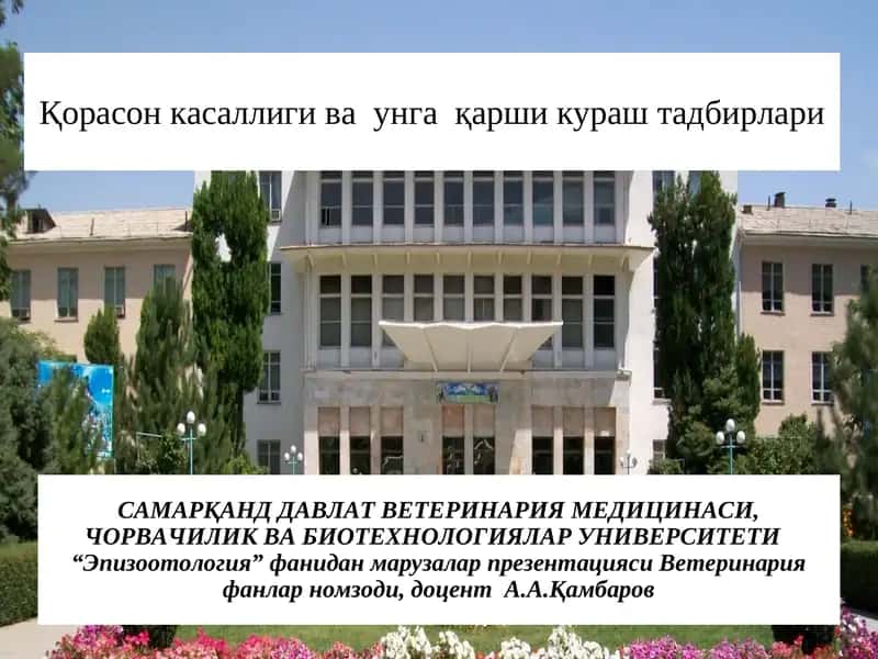 Қорасон касаллиги 1