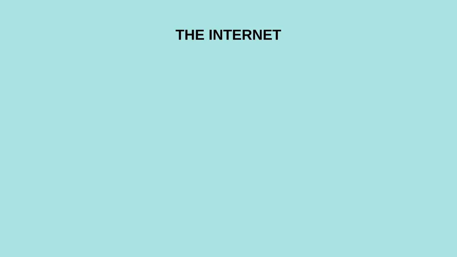 THE INTERNET 1