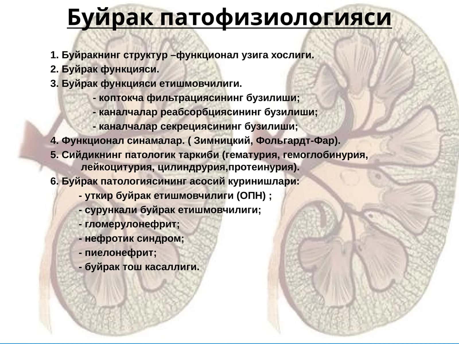 Буйрак патофизиологияси 1