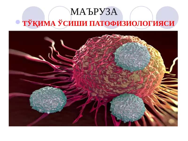 ТЎҚИМА ЎСИШИ ПАТОФИЗИОЛОГИЯСИ 1