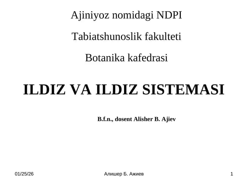 ILDIZ VA ILDIZ SISTEMASI 1