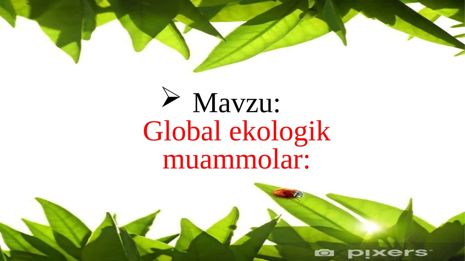 Globalekologik muammolar 1