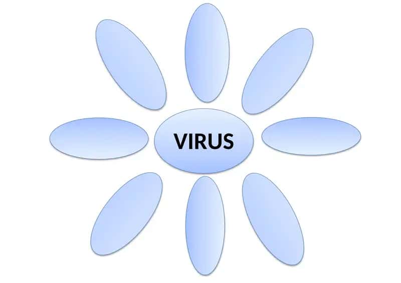 VIRUS 1
