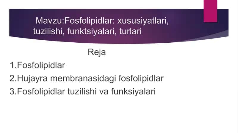 Fosfolipidlar 1